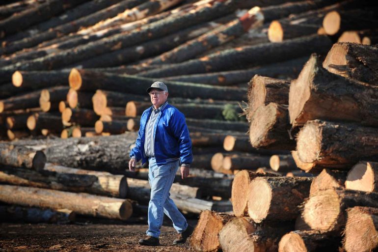 Jim Barnam, owner of the B&J Sawmill in Reed Point, Montana, walks through piles of logs in the sawmill’s yard. (AP Photo/Billings Gazette, James Woodcock)