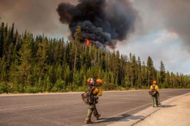 Smoke billows from a prescribed burn as part of a 125-square-mile restoration project on the Payette National Forest near McCall, Idaho. (USFS, AP Photo)